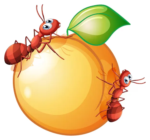 Ants Fruits Logo